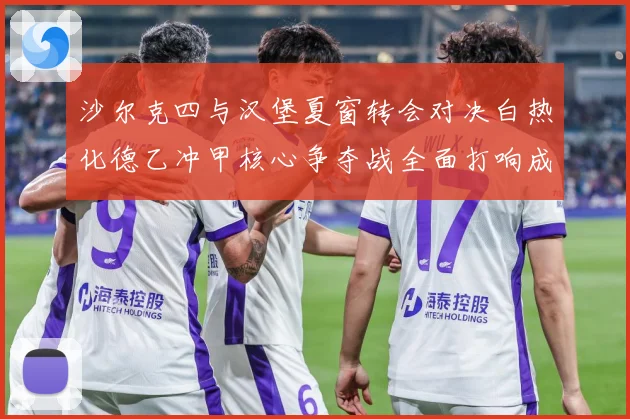 沙尔克四与汉堡夏窗转会对决白热化德乙冲甲核心争夺战全面打响成长观察